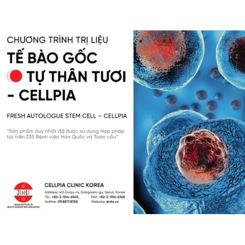 Tầm nhìn và sứ mệnh